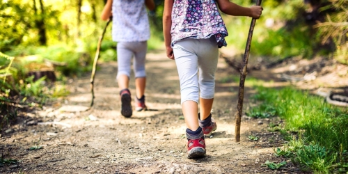 Nieuws van de wandelgroep!